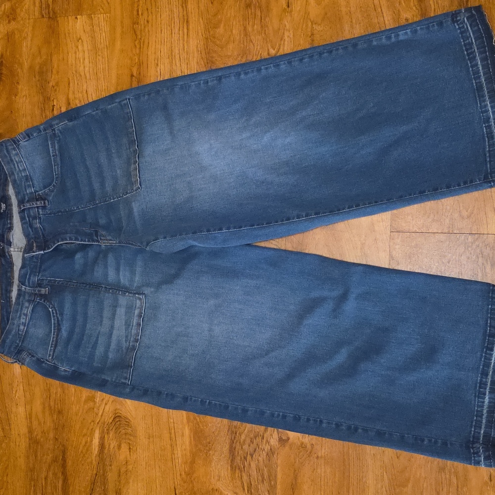 Anthropologie Kaari Blue Denim Jeans Wide Leg Curvy High Rise Women Sz 16W